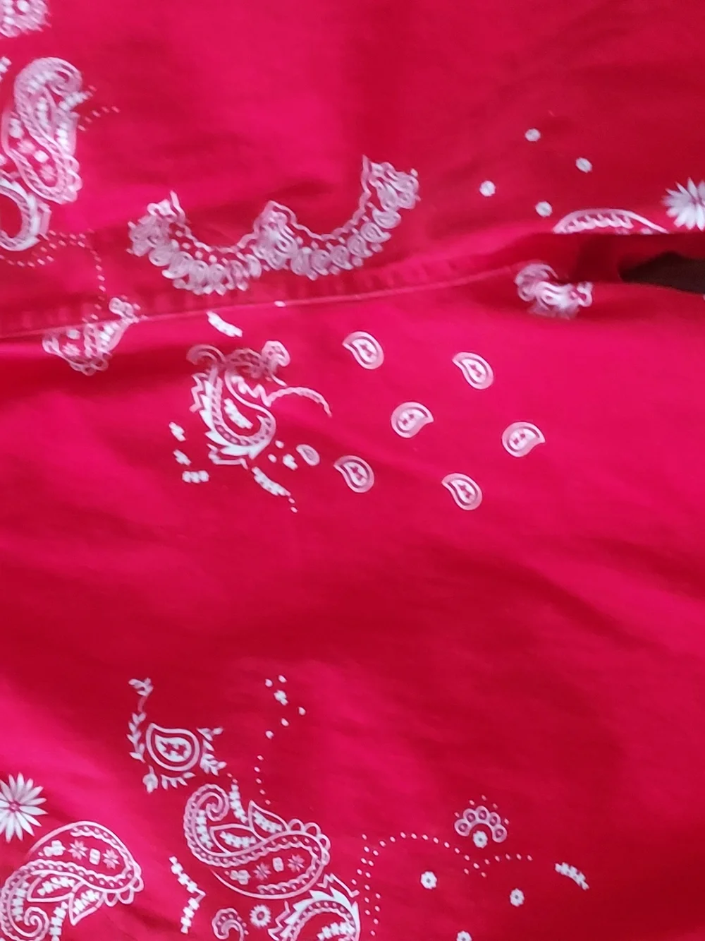 RELWOOD Red Bandana Print Pants LARGE